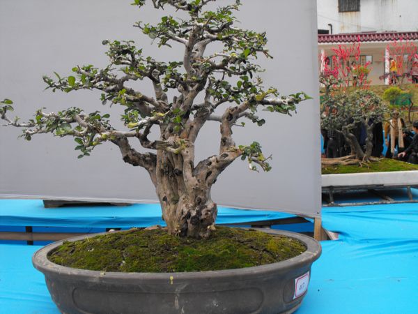 DSCF1059.JPG