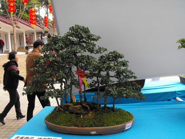 DSCF1083.JPG