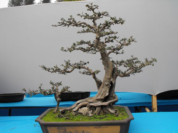 DSCF1088.JPG