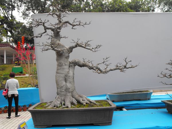 DSCF1089.JPG