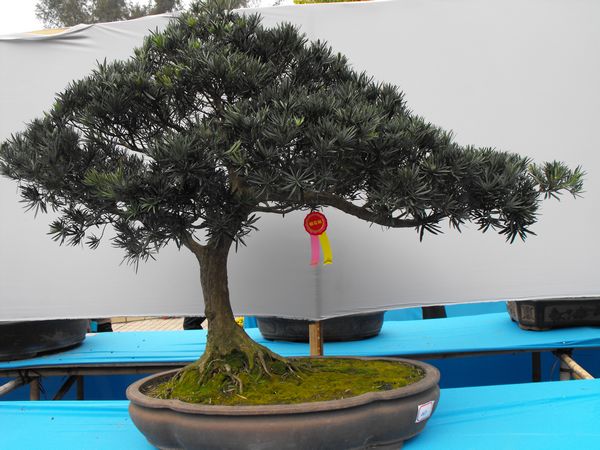 DSCF1090.JPG