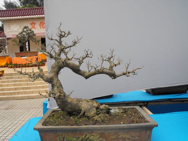 DSCF1097.JPG