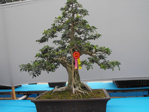 DSCF1099.JPG