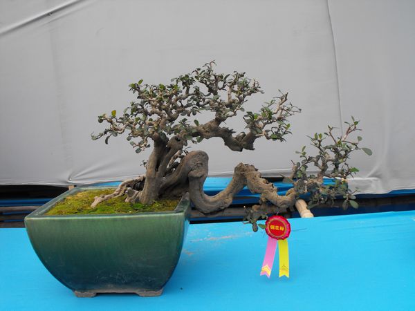 DSCF1101.JPG