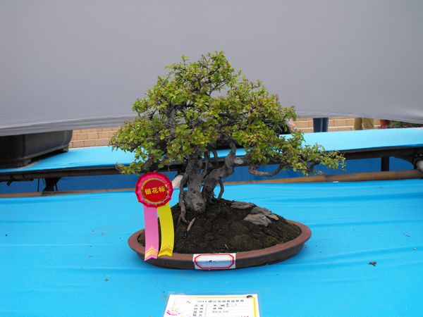 DSCF1102.JPG