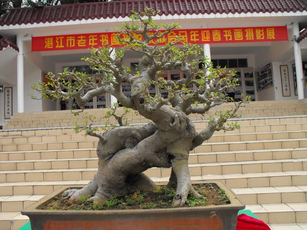 DSCF1120.JPG