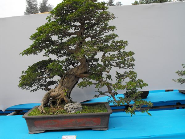 DSCF1134.JPG