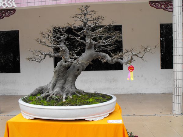 DSCF1144.JPG