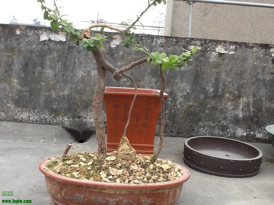 082228ebbqhz53j35cbo3b.jpg.thumb.jpg