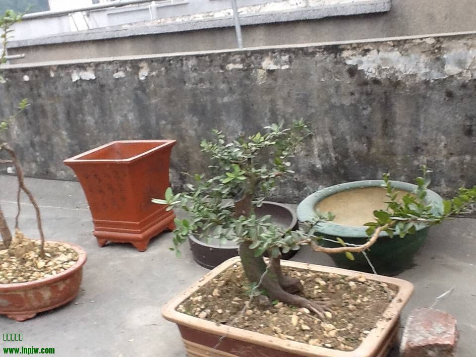 082646u8g07vvdkim8c7qq.jpg.thumb.jpg