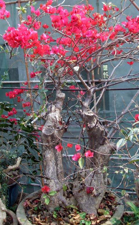 DSCF0418.jpg