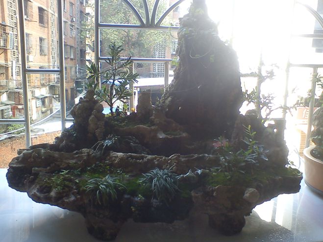 DSC01908.jpg