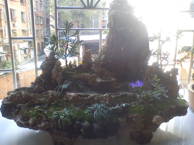 DSC01909.jpg