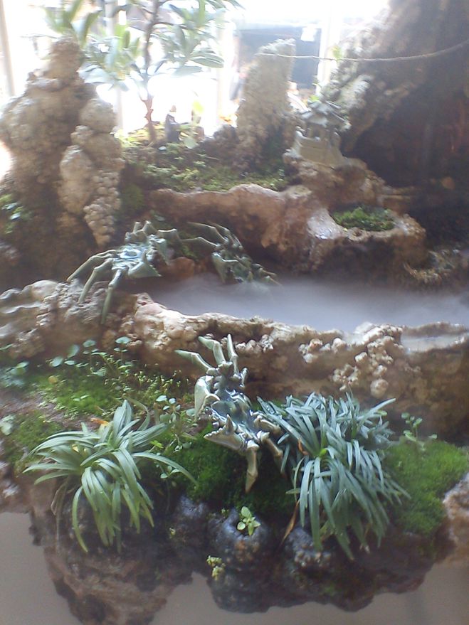 DSC01910.jpg