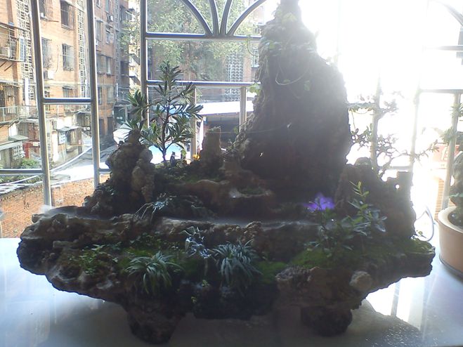 DSC01911.jpg