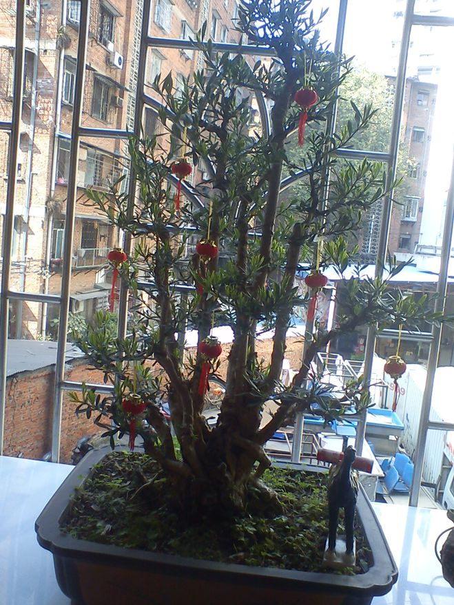 DSC01907.jpg