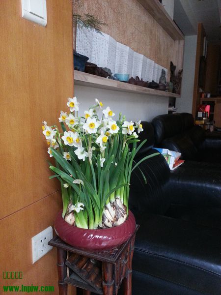 20140202_100934.jpg