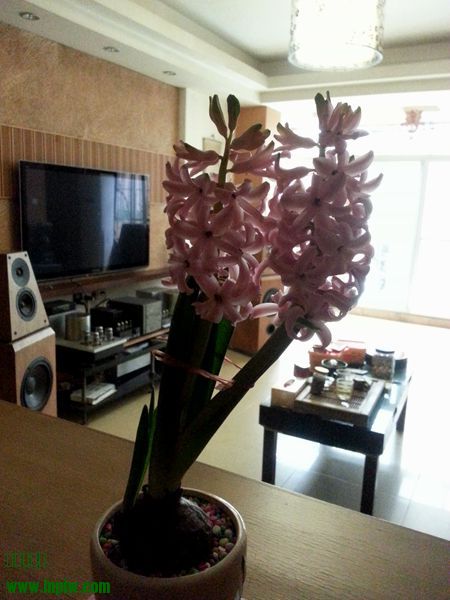 20140202_101528.jpg