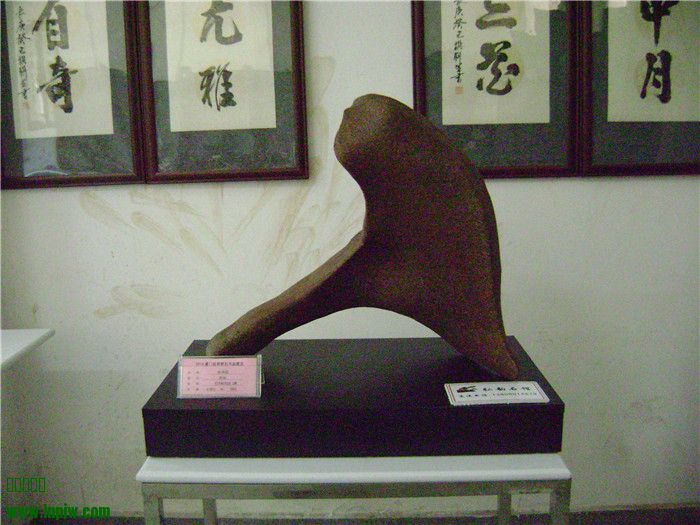 DSC04700.jpg