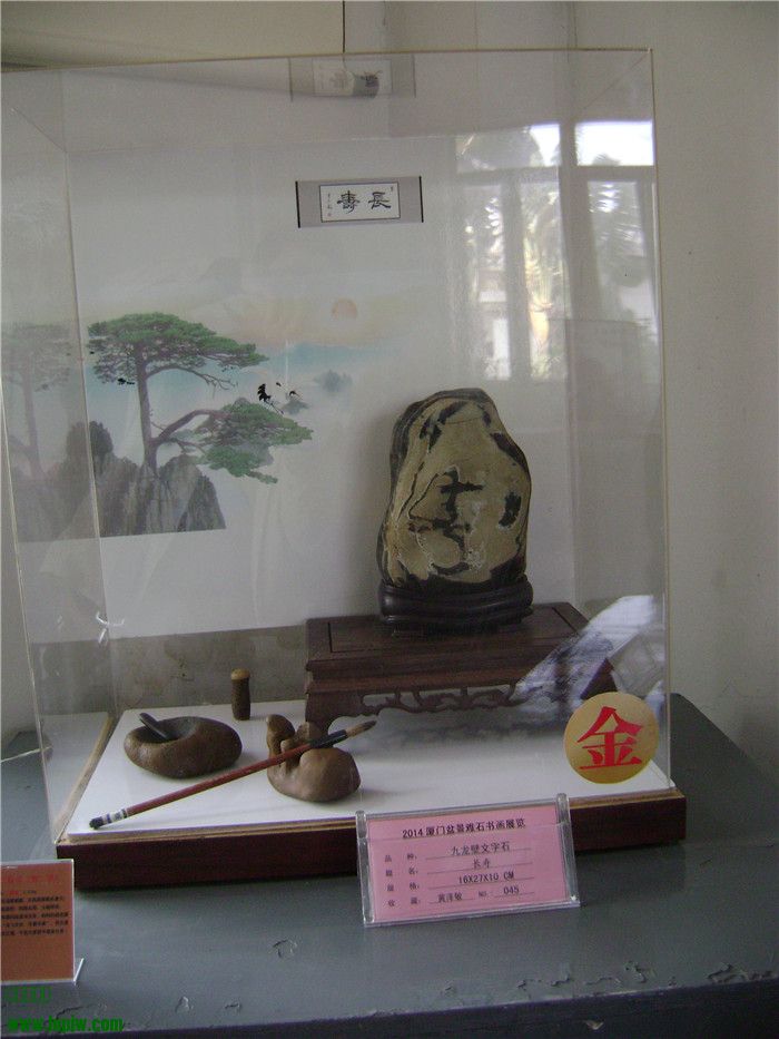 DSC04710.jpg