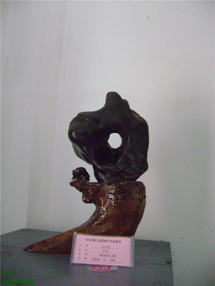 DSC04712 - .jpg