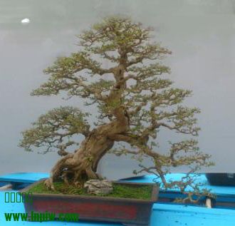 绘画专?_1391410401336-1_mh000.jpg