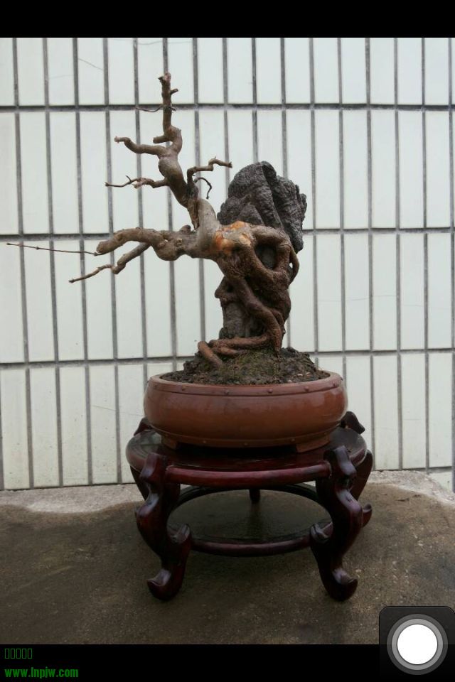 QQͼƬ20140203182900.jpg