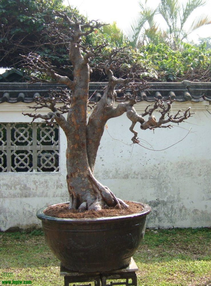 DSCF4977.JPG