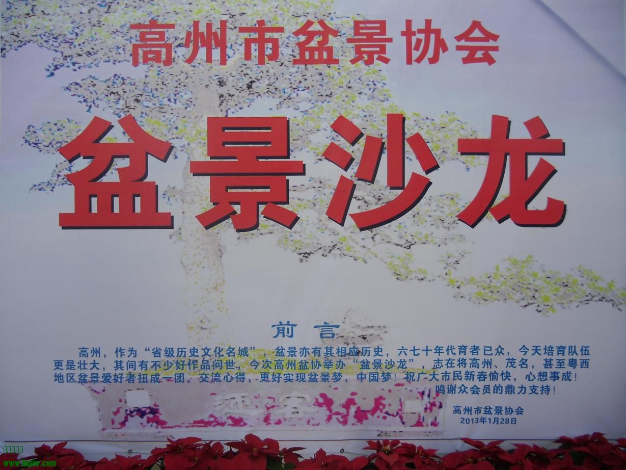 2014辰ɳA1.JPG