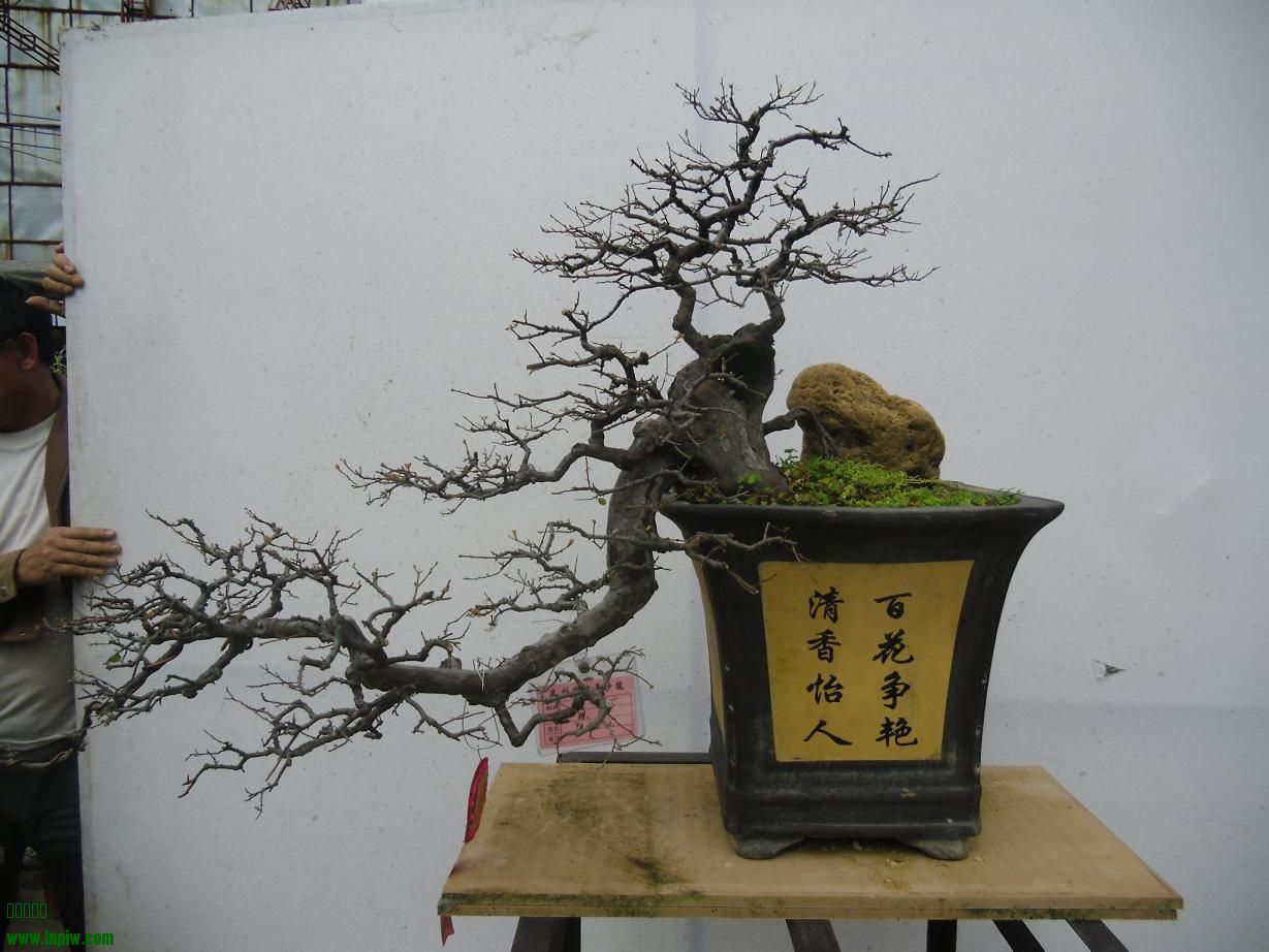 2014辰ɳB2.JPG