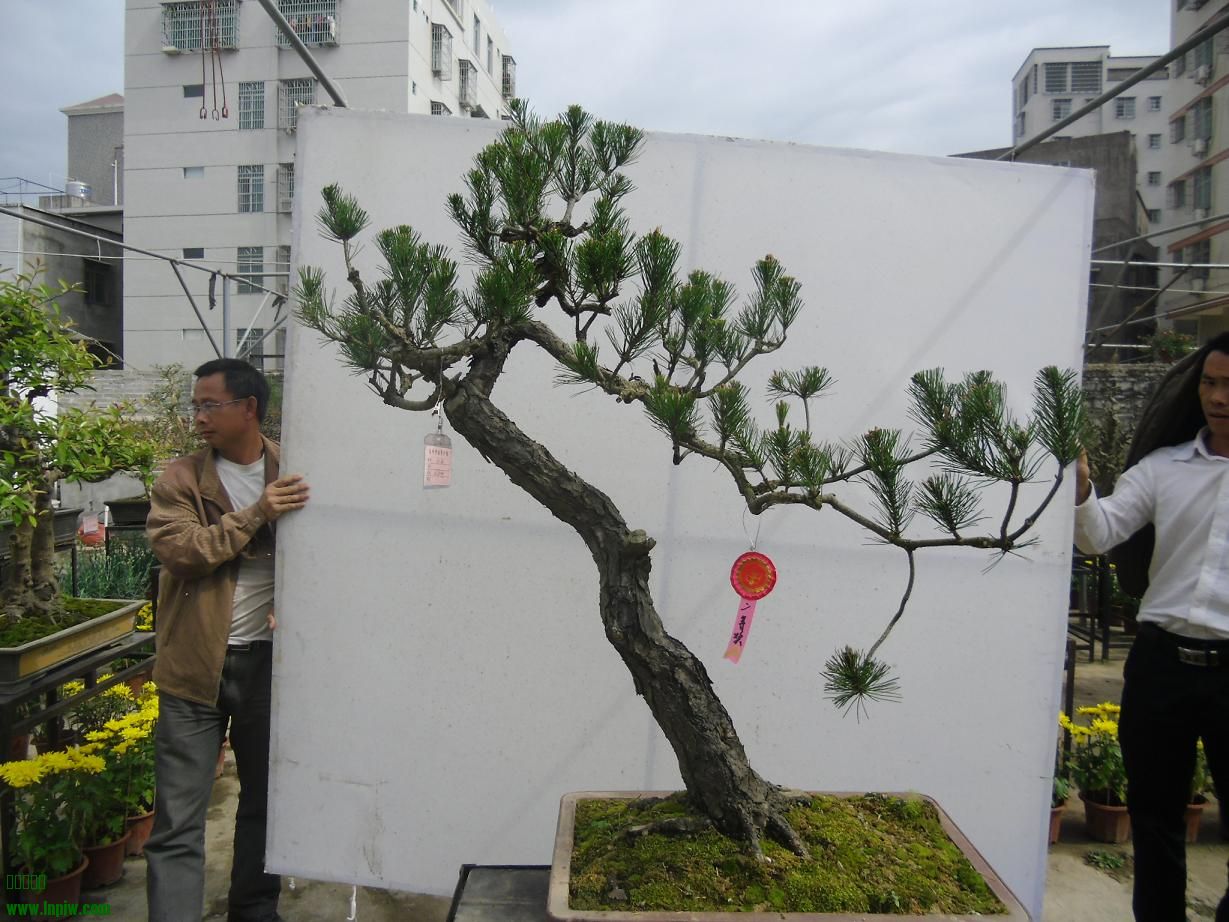 2014辰ɳB5.JPG