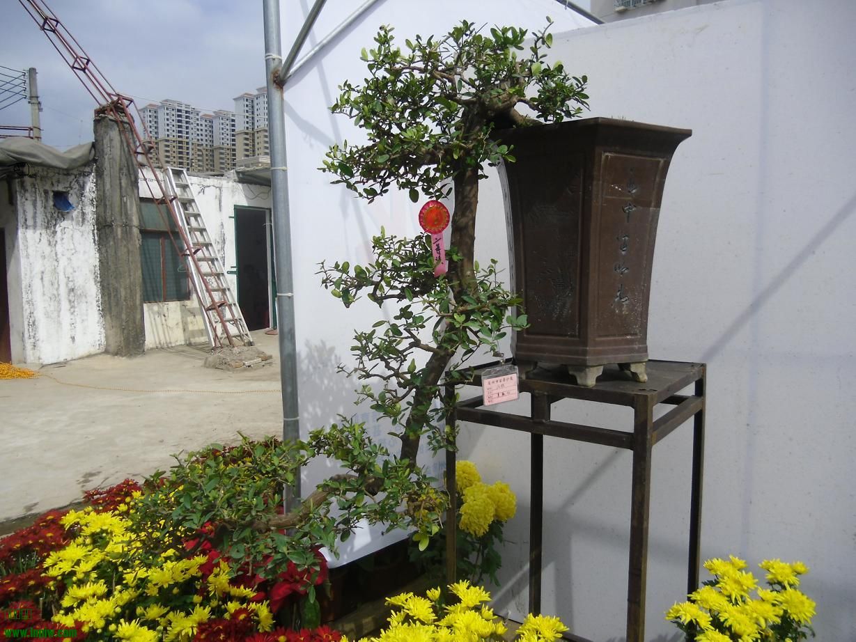 2014辰ɳB6.JPG