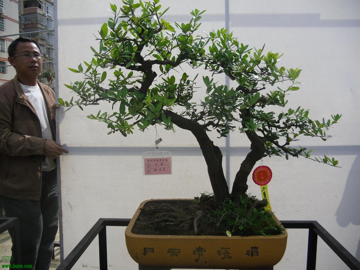 2014辰ɳC1.JPG
