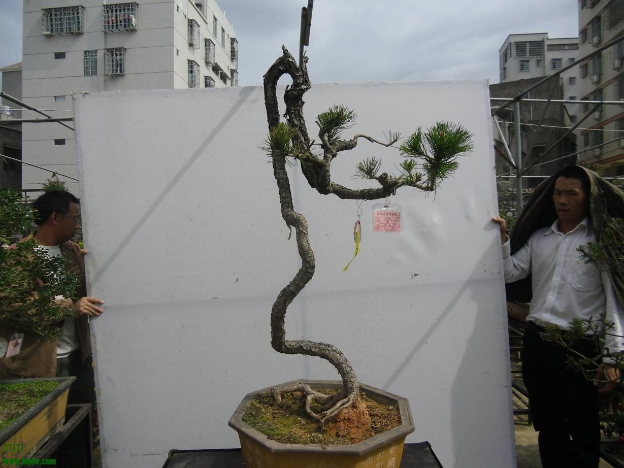 2014辰ɳC2.JPG