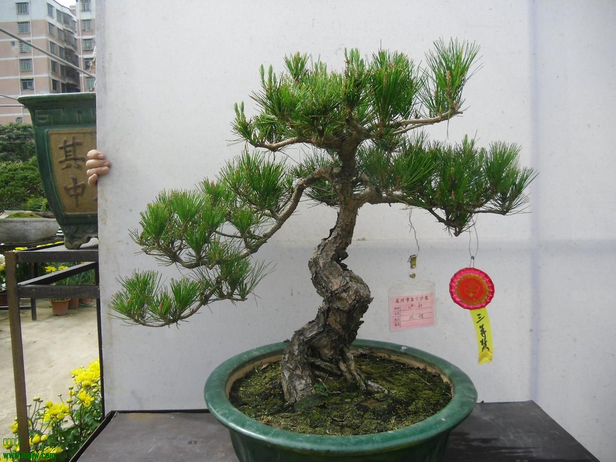 2014辰ɳC4.JPG