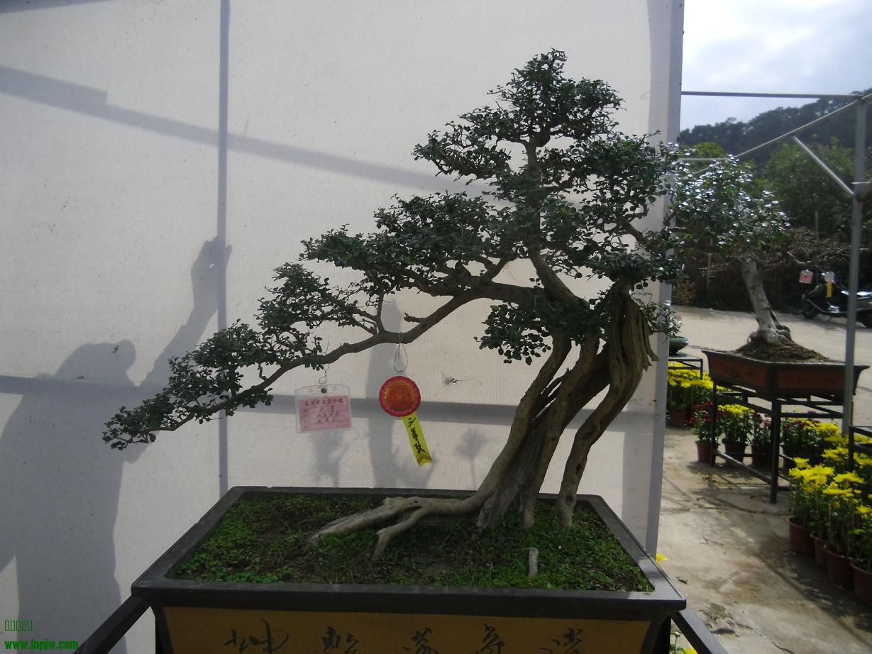 2014辰ɳC10.JPG