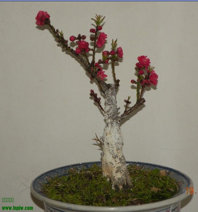 QQͼƬ20140204230651.jpg