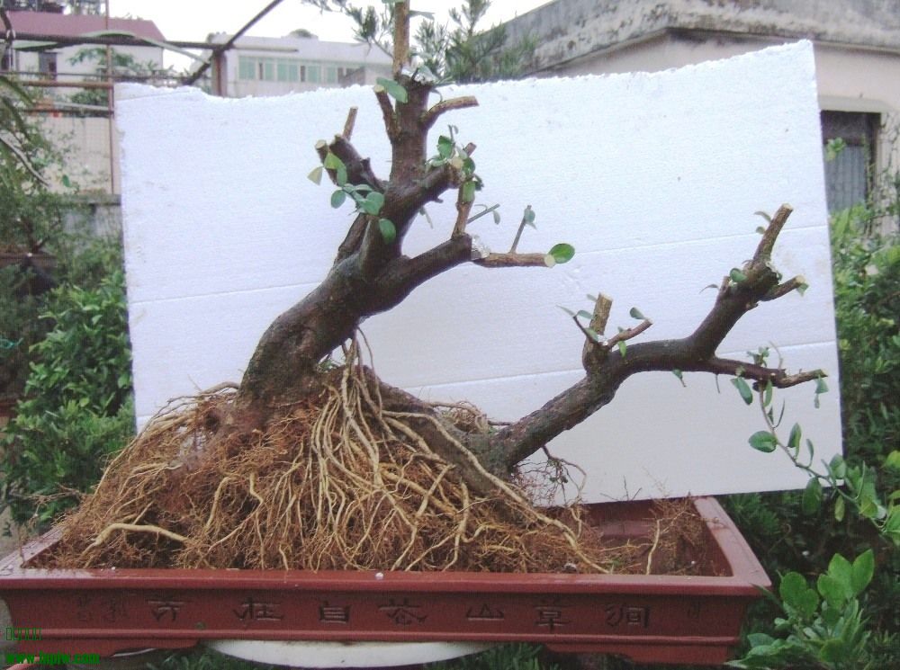 20140204.JPG