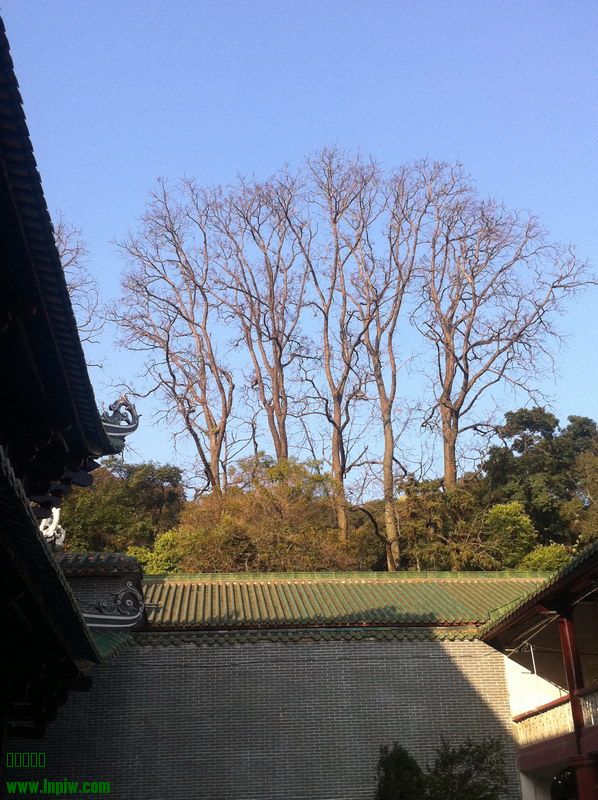 2014131ϻ_25.JPG