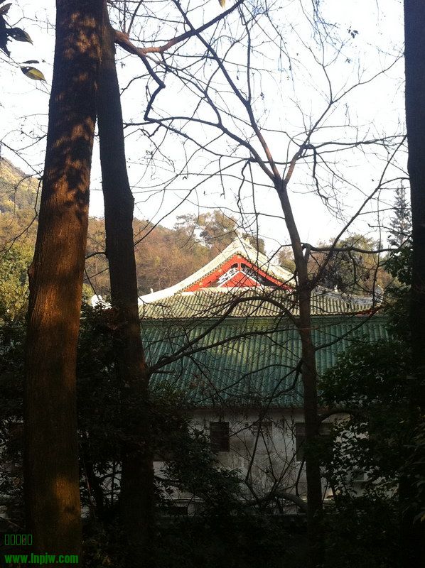 2014131ϻ_34.JPG