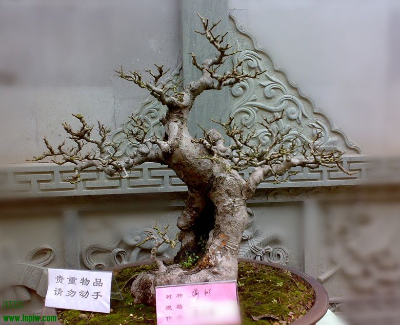 201002161100_.jpg