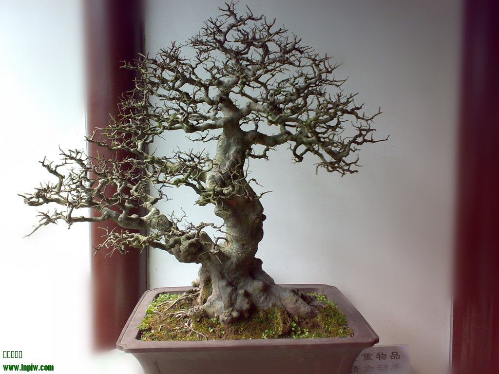 201002161101_.jpg