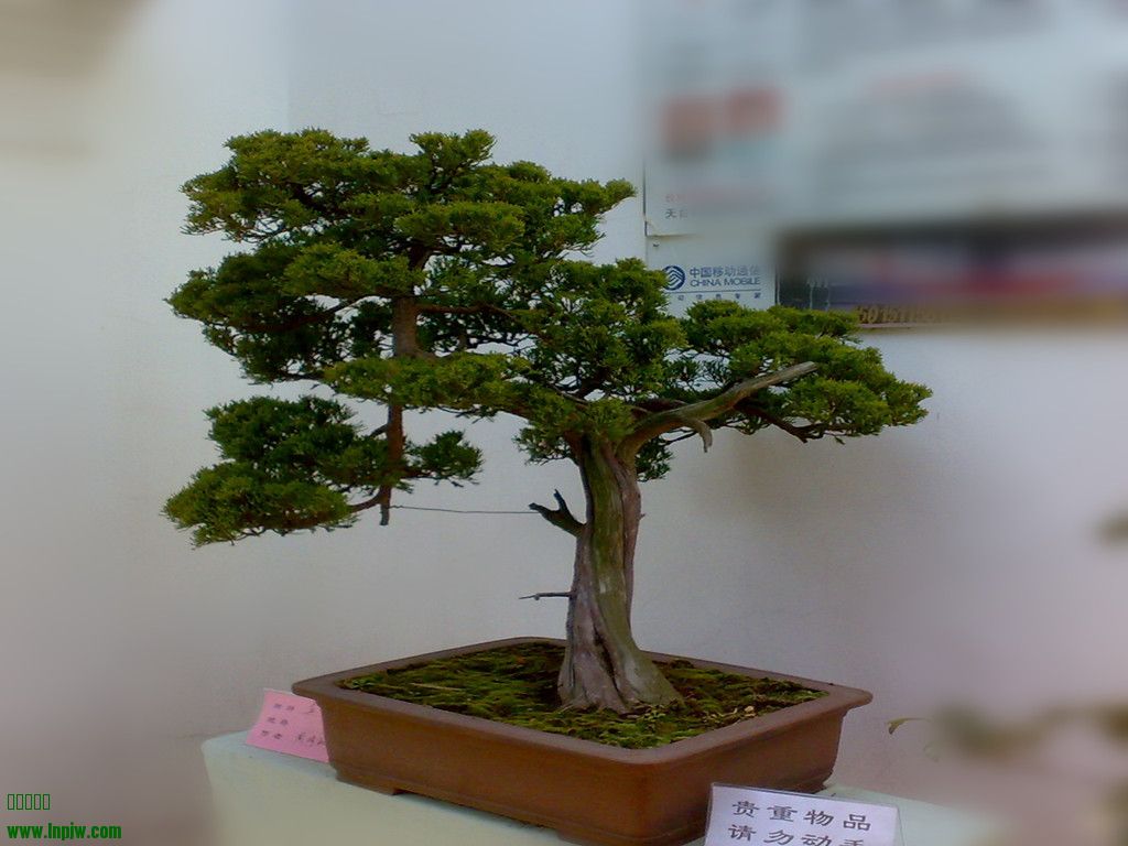 201002201174_.jpg