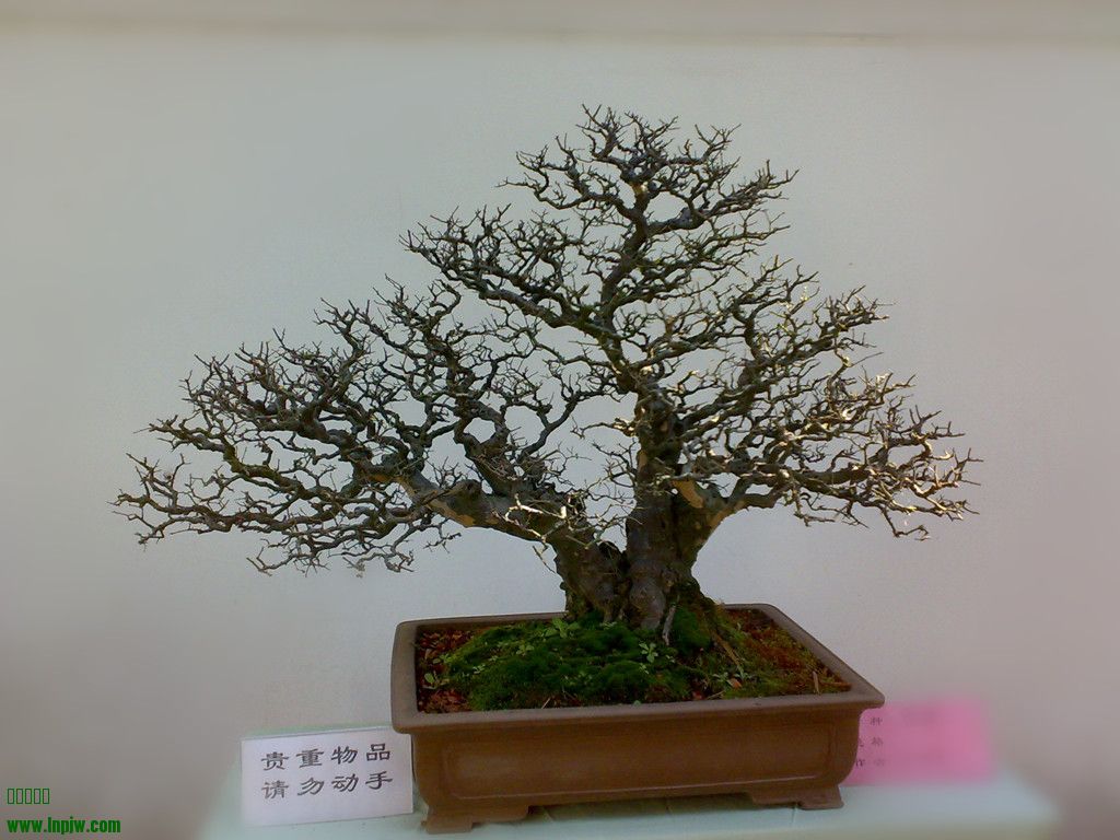 201002201156_.jpg