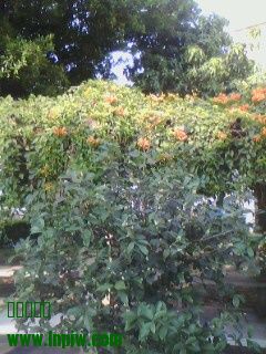 IMG0327A.jpg