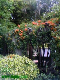 IMG0324A.jpg