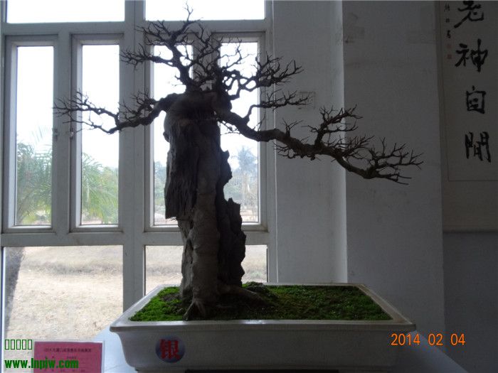 DSC01772_.jpg
