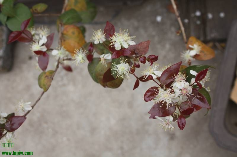 Ƭ20131026ۺ 183.jpg