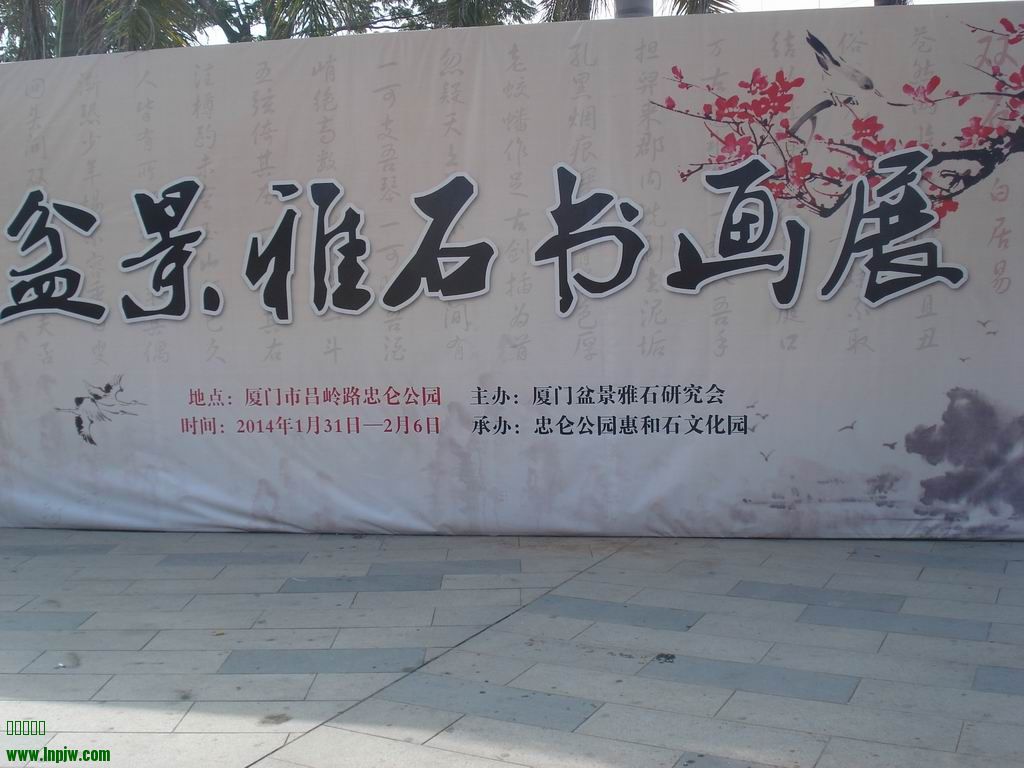 С DSC01674.JPG