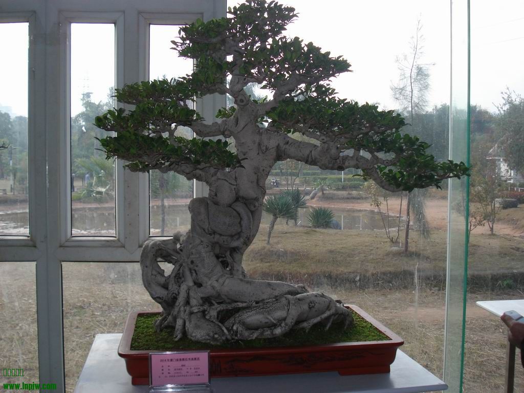 С DSC01680.JPG